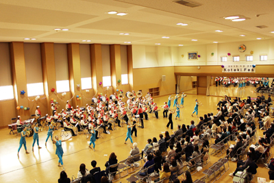 kotekifes2